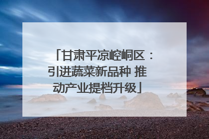 甘肃平凉崆峒区：引进蔬菜新品种 推动产业提档升级