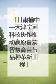 甘肃榆中—天津宁河科技协作推动高原夏菜智慧育苗与品种革新工程