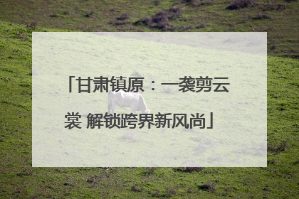 甘肃镇原：一袭剪云裳 解锁跨界新风尚