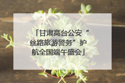 甘肃高台公安“丝路旅游警务”护航全国端午盛会