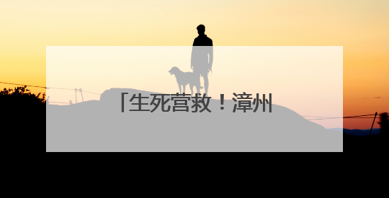 生死营救！漳州一女子厦门落水