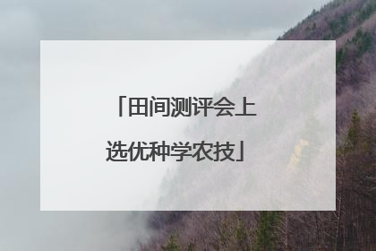 田间测评会上选优种学农技
