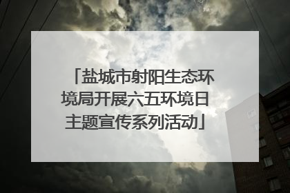 盐城市射阳生态环境局开展六五环境日主题宣传系列活动