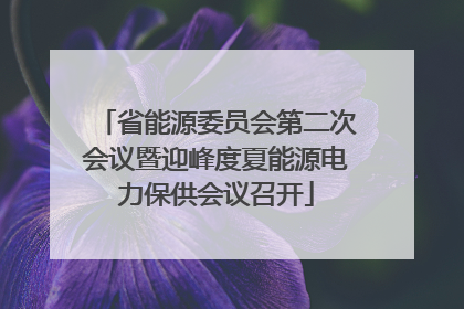 省能源委员会第二次会议暨迎峰度夏能源电力保供会议召开