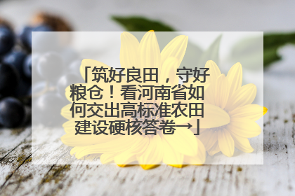 筑好良田，守好粮仓！看河南省如何交出高标准农田建设硬核答卷→