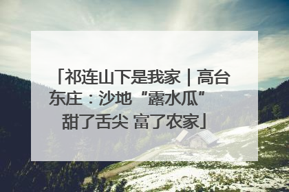 祁连山下是我家｜高台东庄：沙地“露水瓜” 甜了舌尖 富了农家