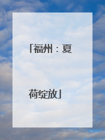 福州：夏荷绽放