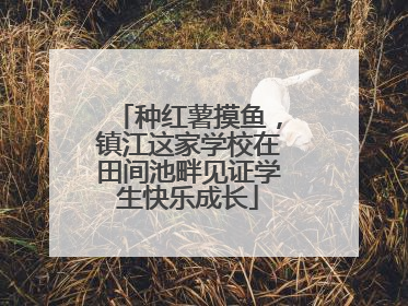 种红薯摸鱼，镇江这家学校在田间池畔见证学生快乐成长