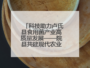 科技助力卢氏县食用菌产业高质量发展——院县共建现代农业科技示范县