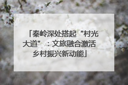 秦岭深处搭起“村光大道”：文旅融合激活乡村振兴新动能