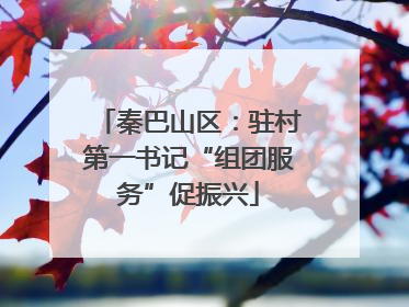 秦巴山区：驻村第一书记“组团服务”促振兴