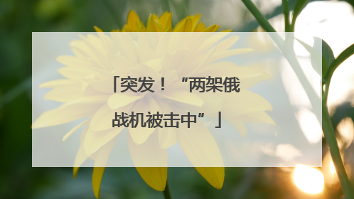 突发！“两架俄战机被击中”