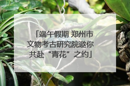 端午假期 郑州市文物考古研究院邀你共赴“青花”之约