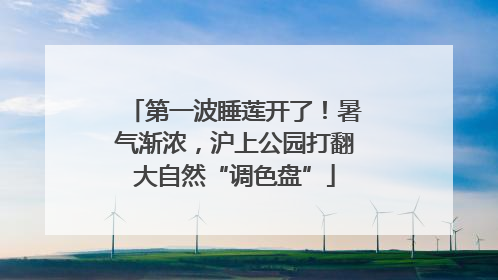 第一波睡莲开了！暑气渐浓，沪上公园打翻大自然“调色盘”