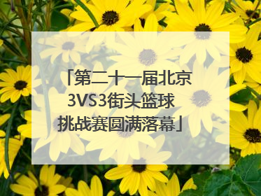 第二十一届北京3VS3街头篮球挑战赛圆满落幕
