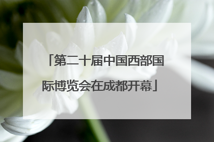 第二十届中国西部国际博览会在成都开幕