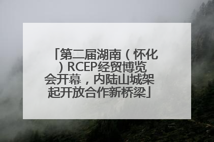 第二届湖南（怀化）RCEP经贸博览会开幕，内陆山城架起开放合作新桥梁