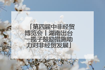 第四届中非经贸博览会丨湖南出台一揽子鼓励措施助力对非经贸发展