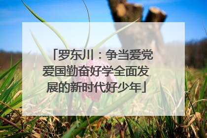 罗东川：争当爱党爱国勤奋好学全面发展的新时代好少年