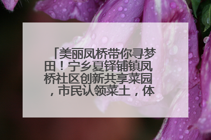 美丽凤桥带你寻梦田！宁乡夏铎铺镇凤桥社区创新共享菜园，市民认领菜土，体验耕种收获乐趣