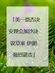 美一票否决安理会加沙决议草案 伊朗强烈谴责