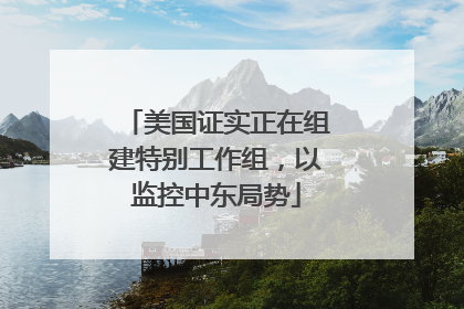 美国证实正在组建特别工作组，以监控中东局势