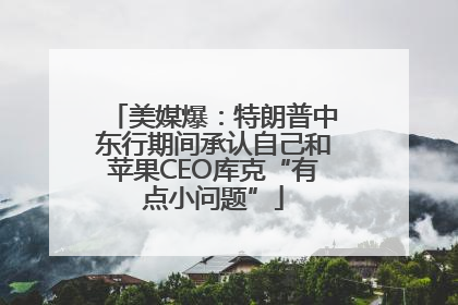美媒爆：特朗普中东行期间承认自己和苹果CEO库克“有点小问题”