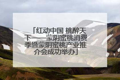 红动中国 桃醉天下——蒙阴蜜桃消费季暨蒙阴蜜桃产业推介会成功举办