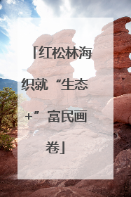 红松林海织就“生态+”富民画卷
