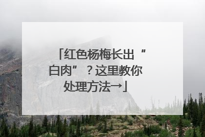 红色杨梅长出“白肉”？这里教你处理方法→
