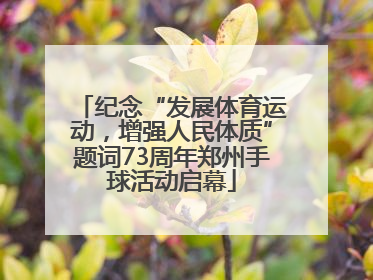 纪念“发展体育运动，增强人民体质”题词73周年郑州手球活动启幕
