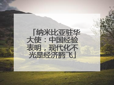 纳米比亚驻华大使：中国经验表明，现代化不光是经济腾飞