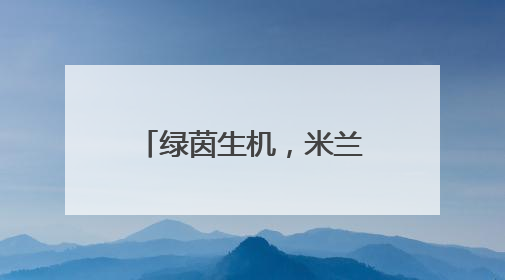绿茵生机，米兰体育与阿拉维斯竞技达成合作