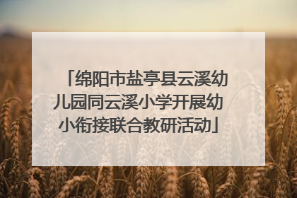 绵阳市盐亭县云溪幼儿园同云溪小学开展幼小衔接联合教研活动