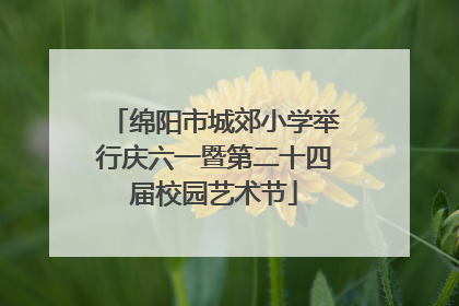 绵阳市城郊小学举行庆六一暨第二十四届校园艺术节