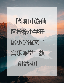 绵阳市游仙区梓棉小学开展小学语文“富乐课堂”教研活动