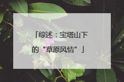 综述：宝塔山下的“草原风情”