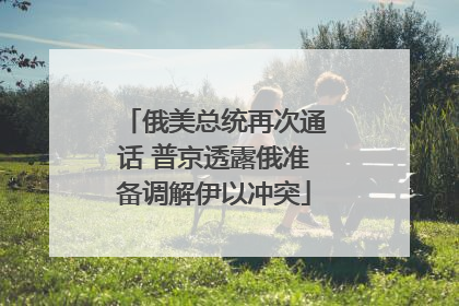 俄美总统再次通话 普京透露俄准备调解伊以冲突