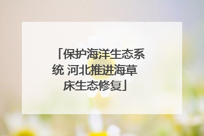 保护海洋生态系统 河北推进海草床生态修复