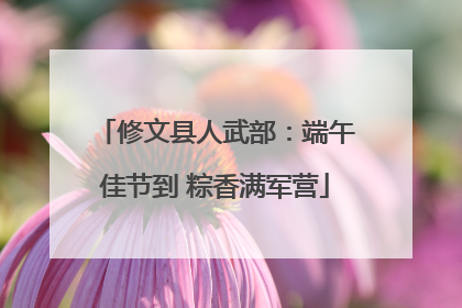 修文县人武部：端午佳节到 粽香满军营