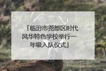 临汾市尧都区时代风华特色学校举行一年级入队仪式