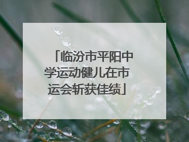 临汾市平阳中学运动健儿在市运会斩获佳绩
