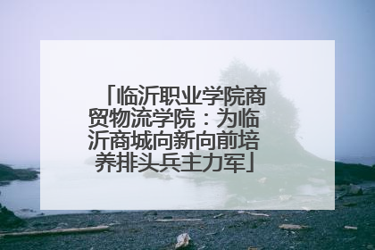 临沂职业学院商贸物流学院：为临沂商城向新向前培养排头兵主力军