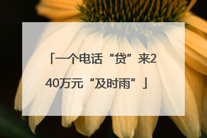 一个电话“贷”来240万元“及时雨”
