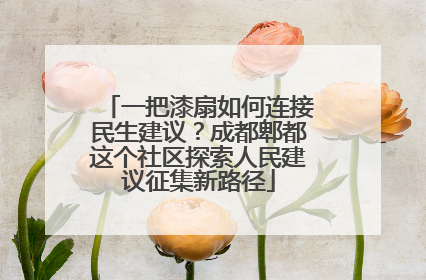一把漆扇如何连接民生建议？成都郫都这个社区探索人民建议征集新路径