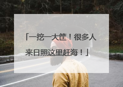 一挖一大筐！很多人来日照这里赶海！