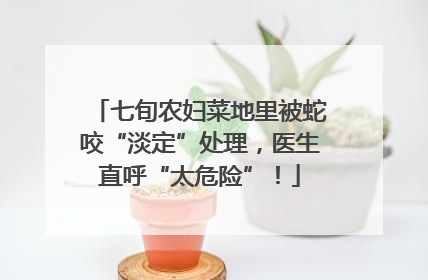 七旬农妇菜地里被蛇咬“淡定”处理，医生直呼“太危险”！