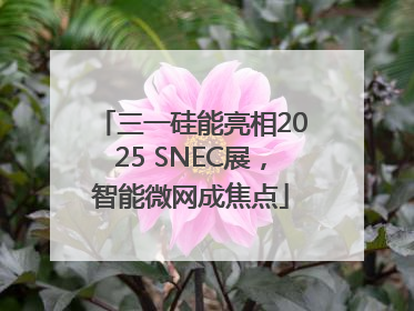 三一硅能亮相2025 SNEC展，智能微网成焦点