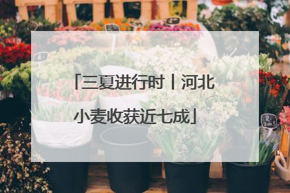 三夏进行时丨河北小麦收获近七成