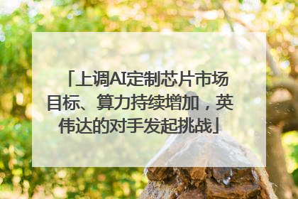 上调AI定制芯片市场目标、算力持续增加，英伟达的对手发起挑战
